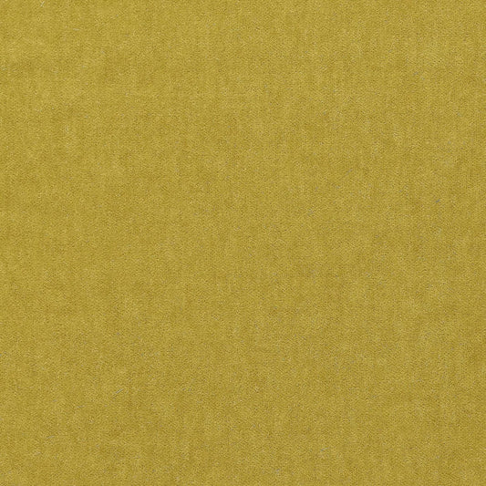 MARCI MOHAIR - LICHEN