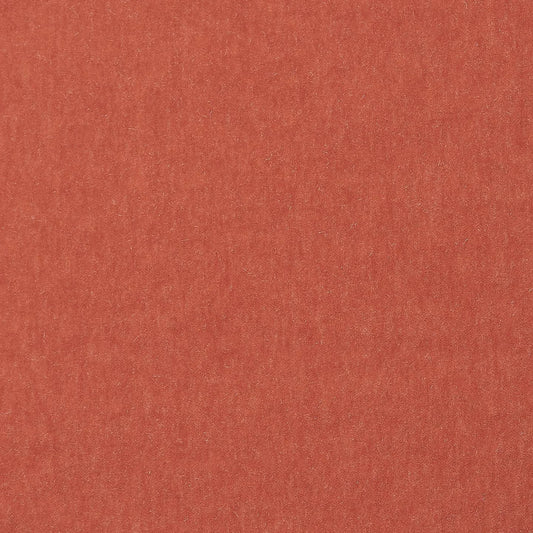 MARCI MOHAIR - PROTEA